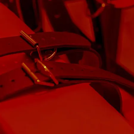 아파트 Kinky 브라쇼브