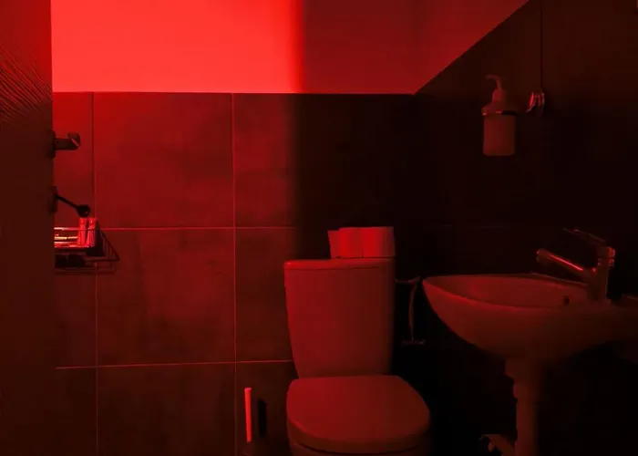 아파트 Kinky 브라쇼브